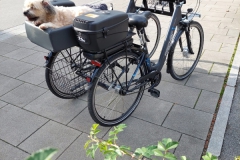 Fahrradverleih Brigitte