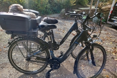 Fahrradverleih Brigitte