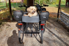 Fahrradverleih Brigitte